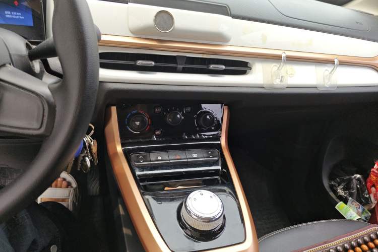 Used Dongfeng NAMMI EX1 2023 PRO Light Wind Edition Lightning Model