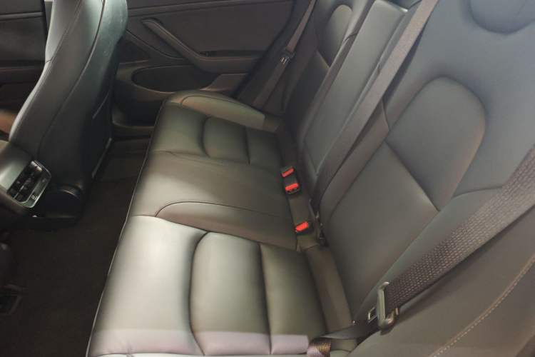 Used Tesla Model 3 2020 Standard Range Rear-Wheel Drive Upgraded Version