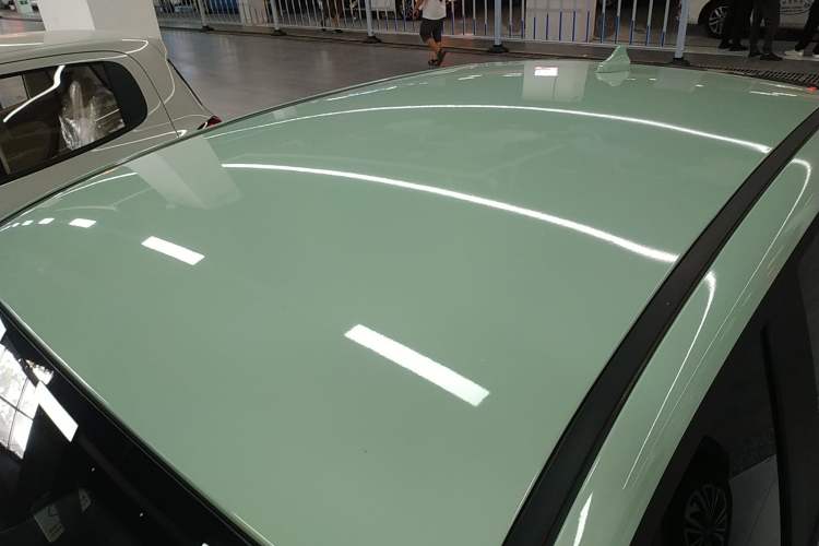 Used Dayun Yuehu 2022 30.66 kWh Two-Wheel Drive Standard Version
