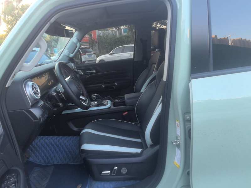 Used Tank 300 2021 City Edition 2.0T—Truly Stylish — 11