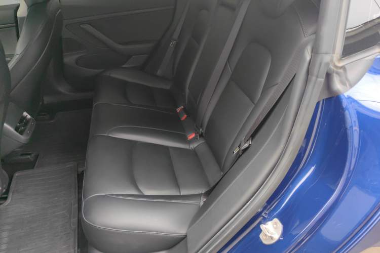Used Tesla Model 3 2020 Revised Version Standard Range Rear-Wheel Drive – Upgraded Edition Left Rear Seat