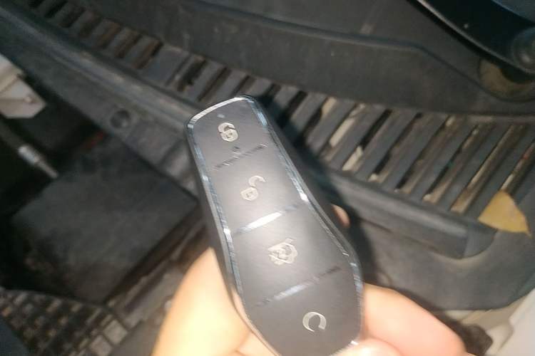 Used BYD Dolphin 2024 Honor Edition 420km Freedom Version
