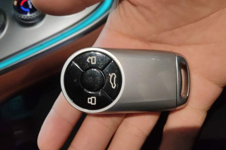 Used ORA Lightning Cat 2022 555 km Luxury Edition
