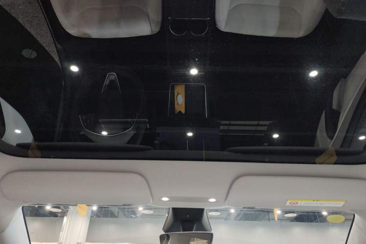 Used Tesla Model Y 2025 Rear-Wheel-Drive Version Headliner