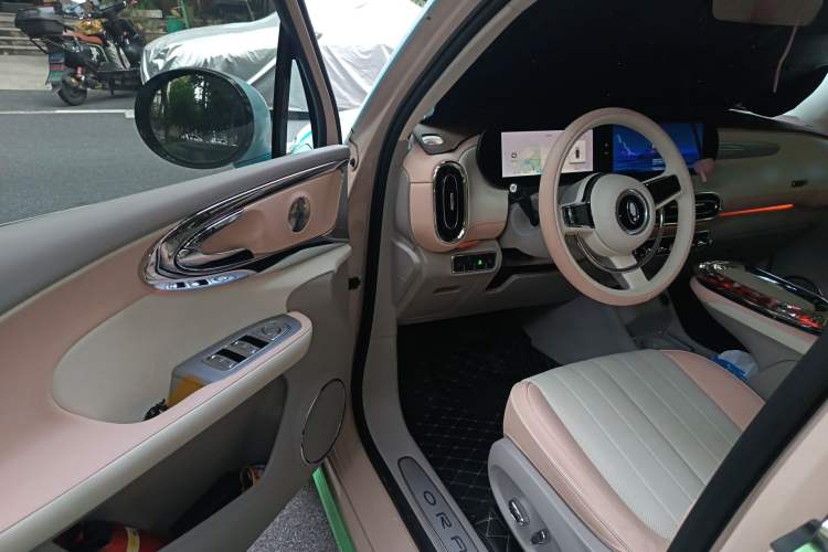 Used ORA Ballet Cat 2023 401 km Luxury Version