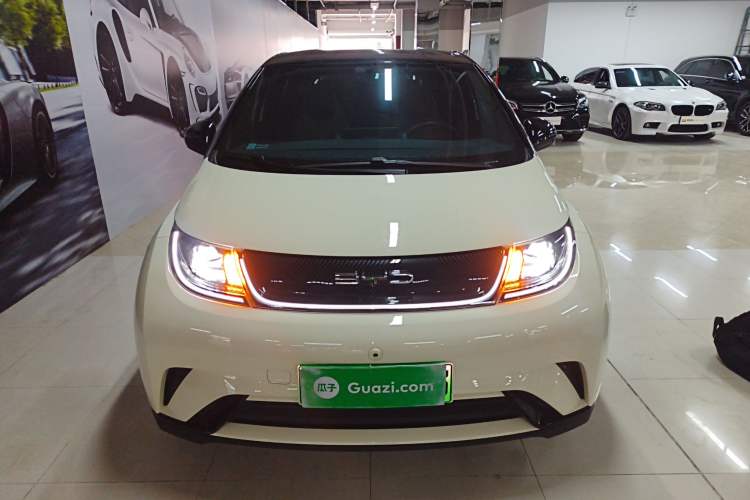 Used BYD Dolphin 2023 420 km Free Version