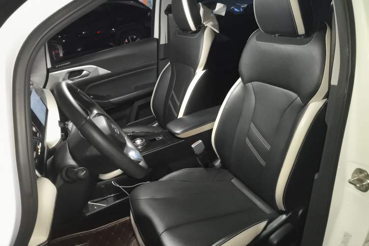 Used Geometry E Firefly 2022 320KM Cute Tiger 4-Seater