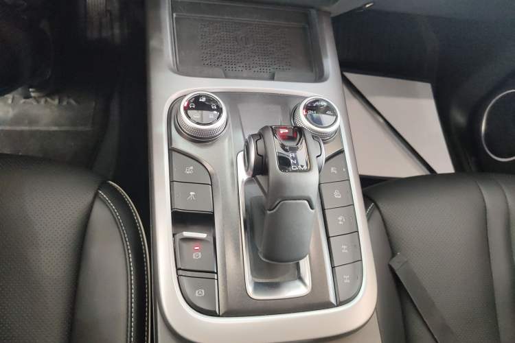 Used Tank 300 2024 2.0T Conqueror