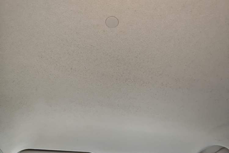 Used Venucia D50 2012 1.6L Manual Comfort Edition Headliner