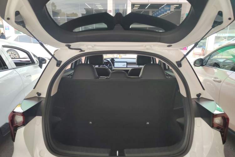 Used Geometry E Firefly 2024 401km Starlight