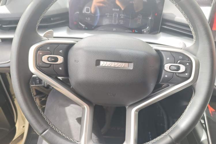 Used Haval H6 2022 3rd Generation 1.5T Automatic Two-Wheel Drive Pro