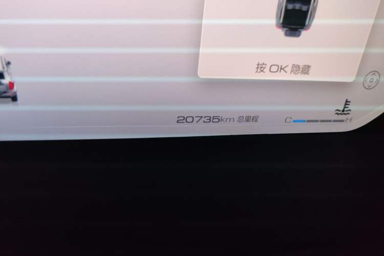 Used Tank 400 2025 2.0T Gasoline Version