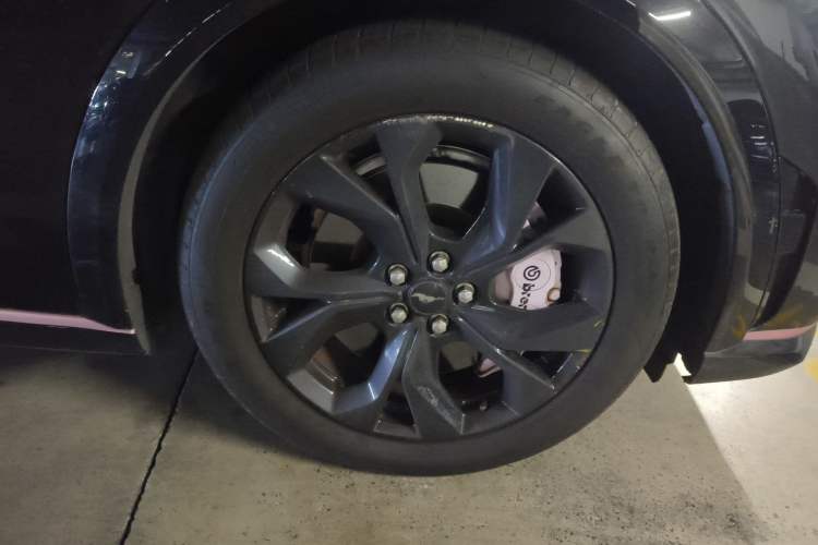 Used Ford Mustang Mach-E 2021 AION Y Plus Rear-Drive Luxury Edition (Long Range)