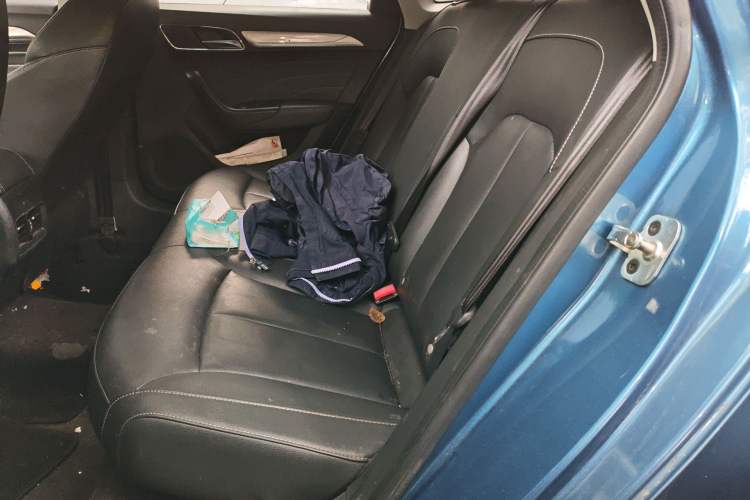 Used Roewe i6 New Energy 2017 45T Hybrid Connect & Smart Enjoyment Edition Left Rear Seat