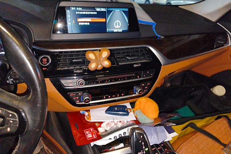 Used BMW 5 Series 2018 528Li Launch Special Edition