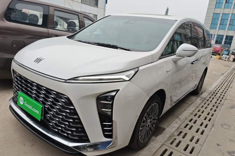 Used Buick GL8 New Energy 2024 Lu Zun Luxury Edition 7-Seater