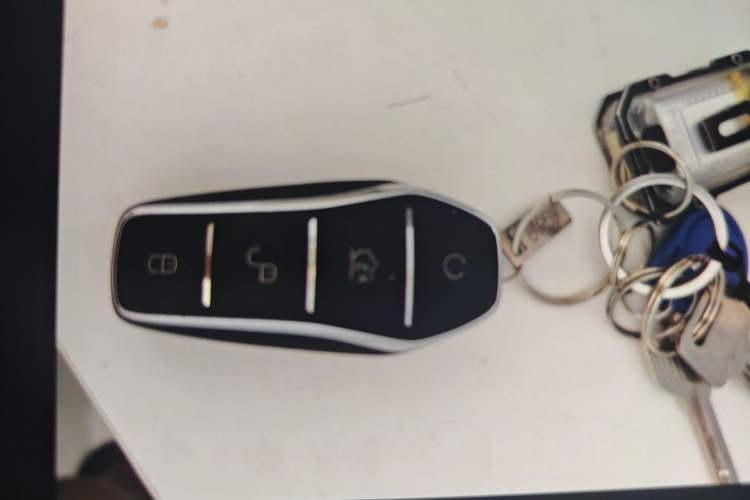 Used BYD Seal 06 New Energy 2024 DM-i 120KM Luxury Model Vehicle Key