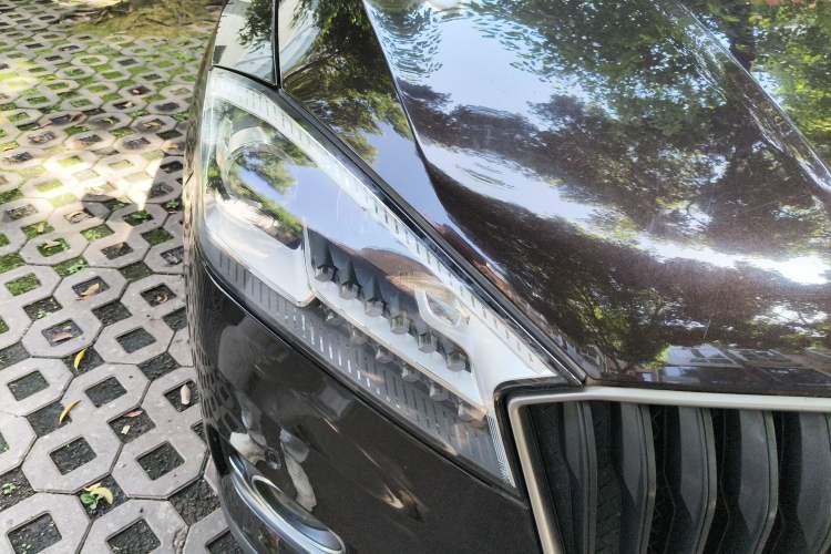 Used BORGWARD BX7 2016 28T Two-Wheel Drive Luxury Version 5 Seats
