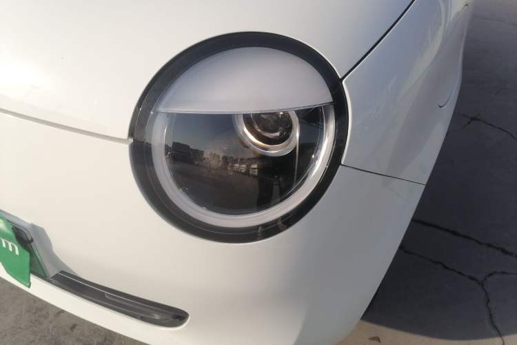 Used Qiyuan Lumin 2023 205km Xiangqin Version