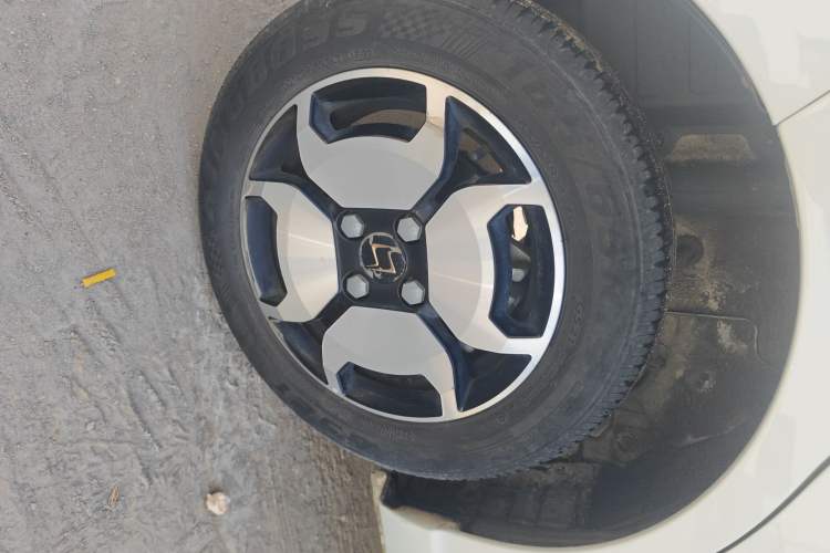 Used SOL E10X 2022 Flower Fairy Style Baby's Breath Right Rear Wheel Hub