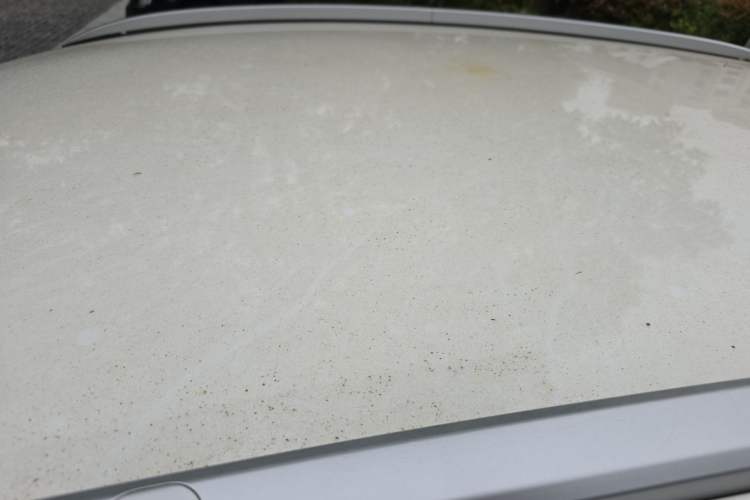 Used Geometry E Firefly 2023 320KM Cute & Handsome Tiger 5 Seats Roof