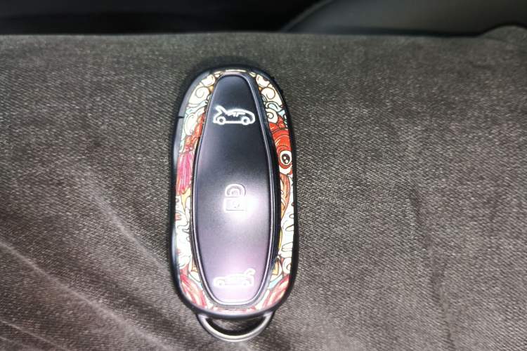 Used Tesla Model 3 2020 Standard Range Rear-Wheel Drive Upgraded Version