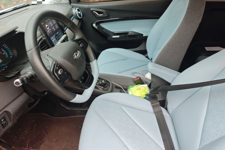 Used Chery Little Ant 2024 Youth Edition 251km True Love Edition 23.99 kWh Left Front Seat