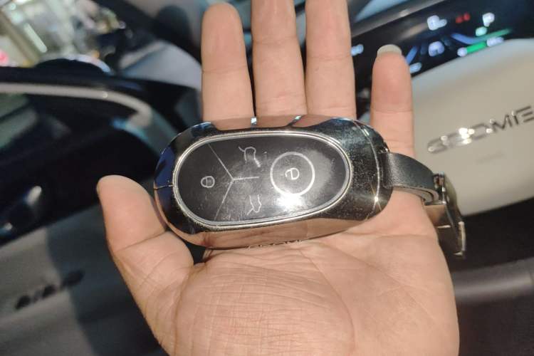 Used Geely Galaxy Geome 2025 310km Youth Edition