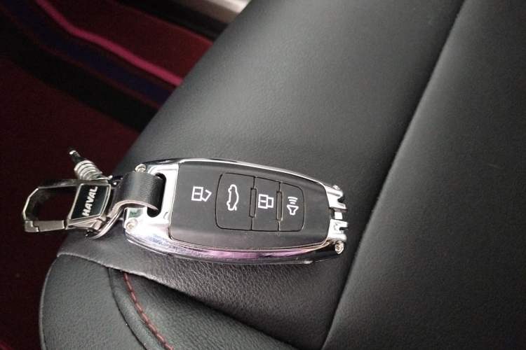 Used Haval M6 2019 1.5T DCT Two-Wheel Drive Elite Version China VI Standard Vehicle Key