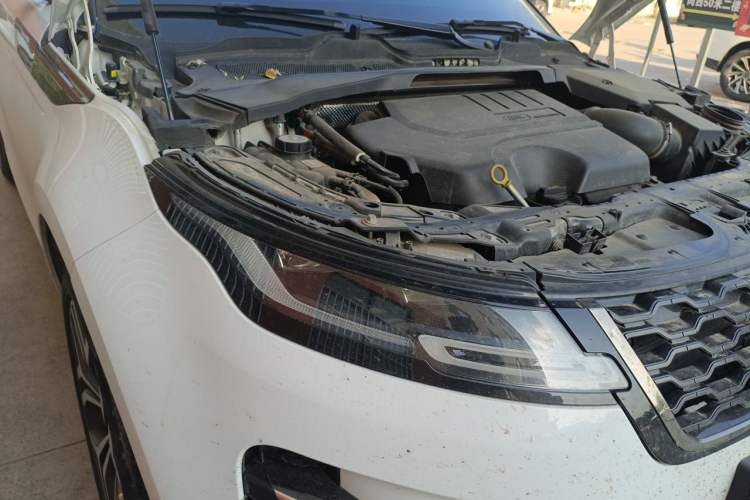 Used Land Rover Range Evoque 2023 Aurora L 249 PS Luxury Edition
