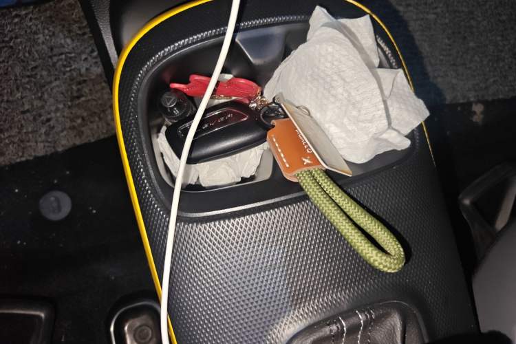 Used Roewe Clever 2022 311km QiQi BoBo Edition
