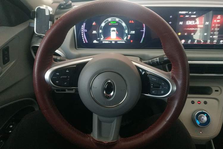 Used ORA White Cat 2020 305 km Luxury Version