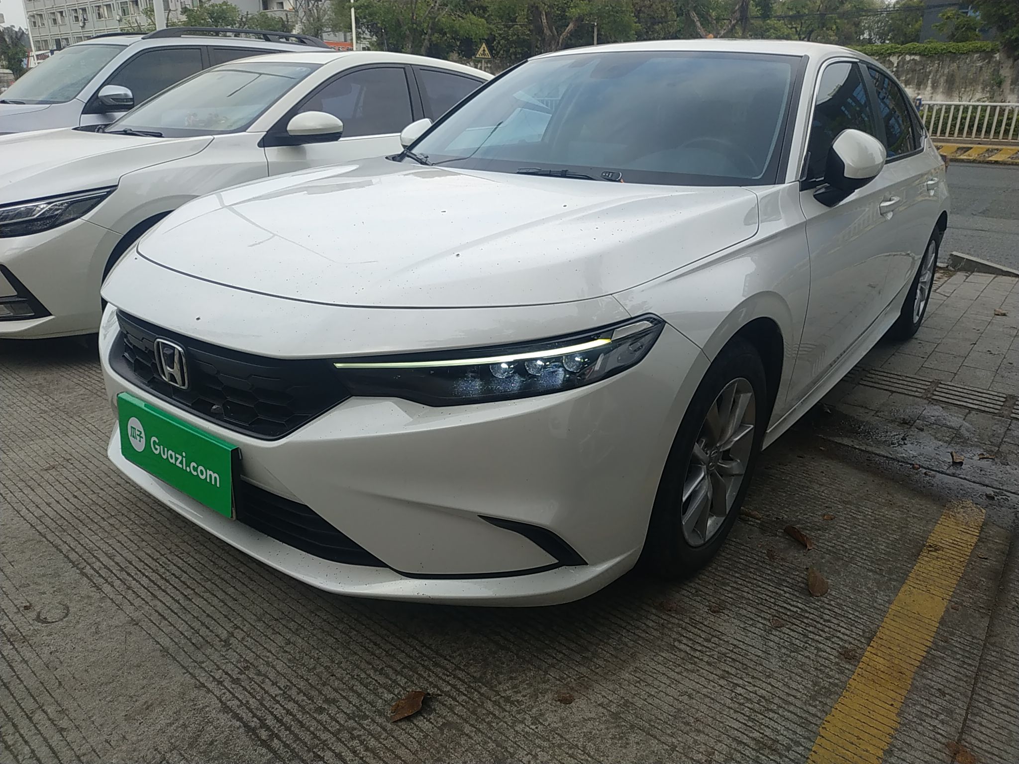 Parte inferior delantera