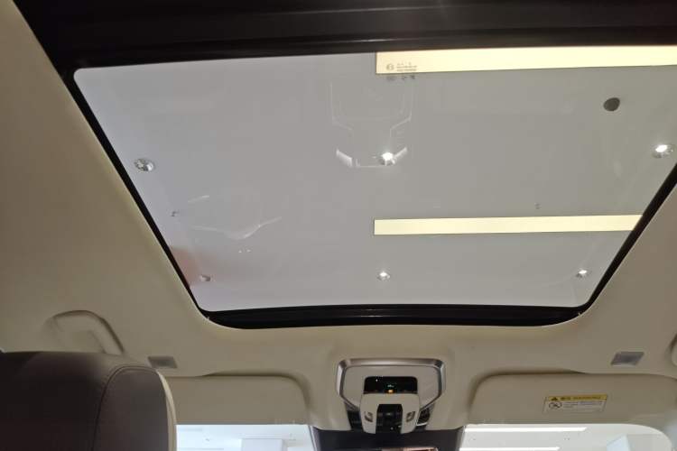 Used Hongqi E-HS9 2021 510 km Flagship Edition Four Seats
