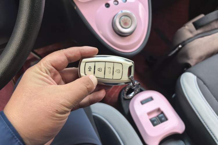 Used ORA Black Cat 2022 301km "Cute Pet" Version – Lithium Iron Phosphate