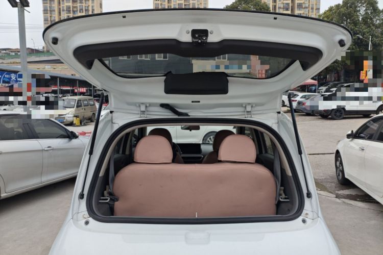 Used ORA White Cat 2020 360 km Luxury Version
