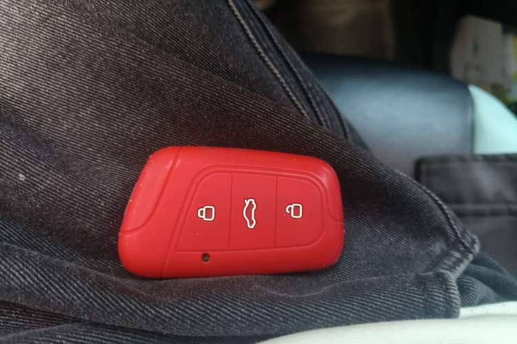 Used Chery Little Ant 2021 150 000 Yuan "Ant Fan" Edition New Ant Cool Version Lithium-Ion Battery Vehicle Key