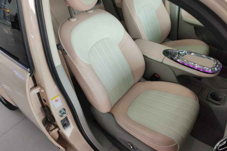 Used ORA Ballet Cat 2022 401 km Nutcracker Edition