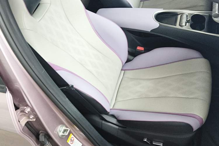 Used BYD Dolphin 2023 420 km Fashion Edition Right Front Seat