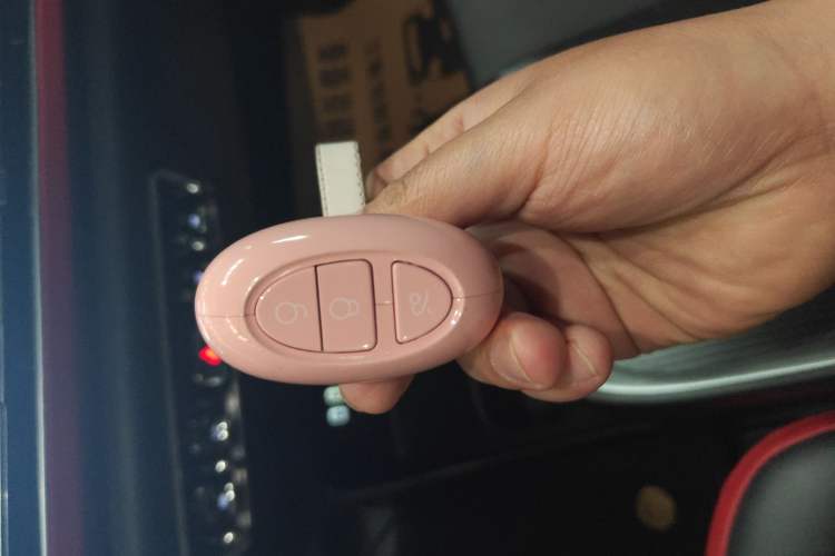 Used ORA Good Cat GT 2022 Mulan Edition 401 km Standard Range