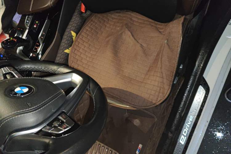 Used BMW 5 Series New Energy 2018 530Le Luxury Package Left Front Seat