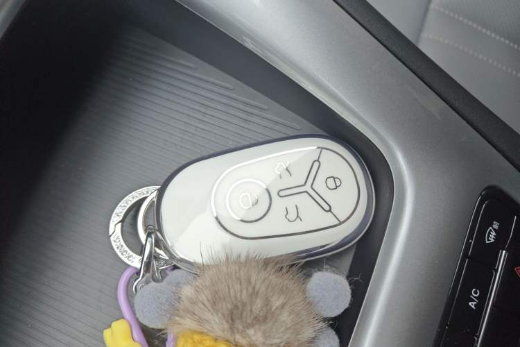 Used Geely Galaxy Geome 2025 310km Youth Edition