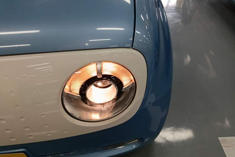 Used ORA Black Cat 2019 351 km Family Edition
