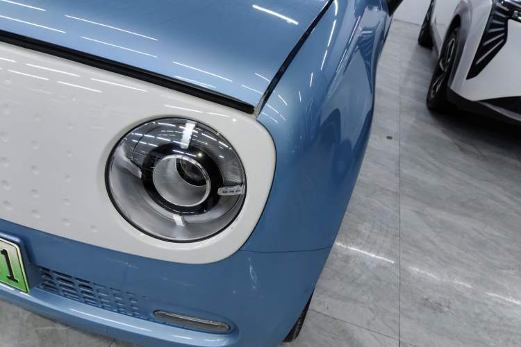 Used ORA Black Cat 2019 351 km Family Edition