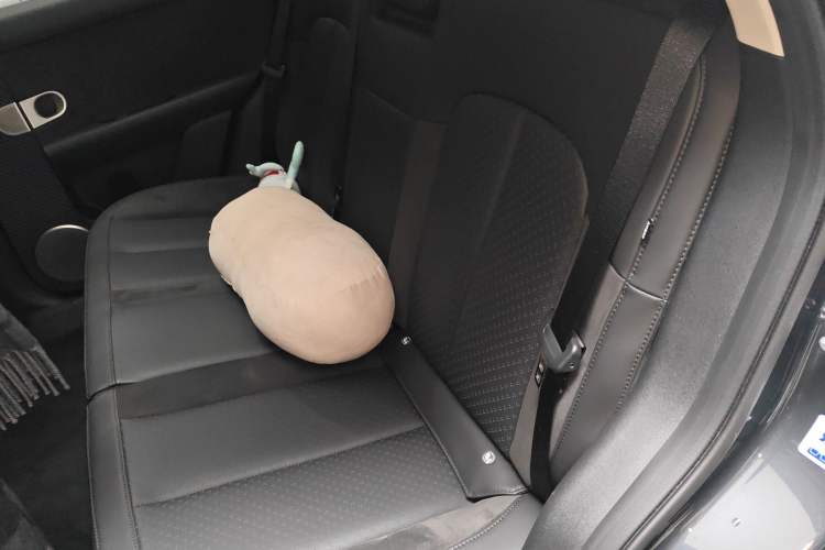 Used firefly 2025 Night Creature Special Edition