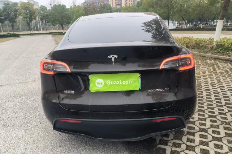 Used Tesla Model Y 2021 Standard Range Rear-Wheel Drive Version Rear