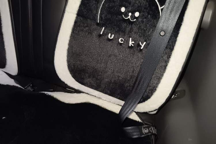 Used CHANGAN NEVO Lumin 2023 205km Xiangqin Version