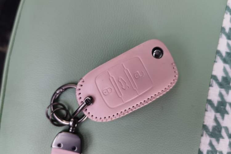 Used Changan Lumin 2024 130km Qingyue Version