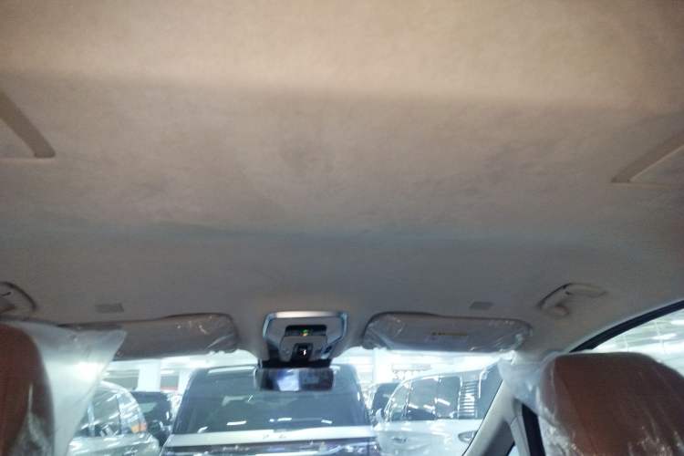 Used Hongqi HQ9 2023 2.0T Smart Connect Flagship Edition Headliner