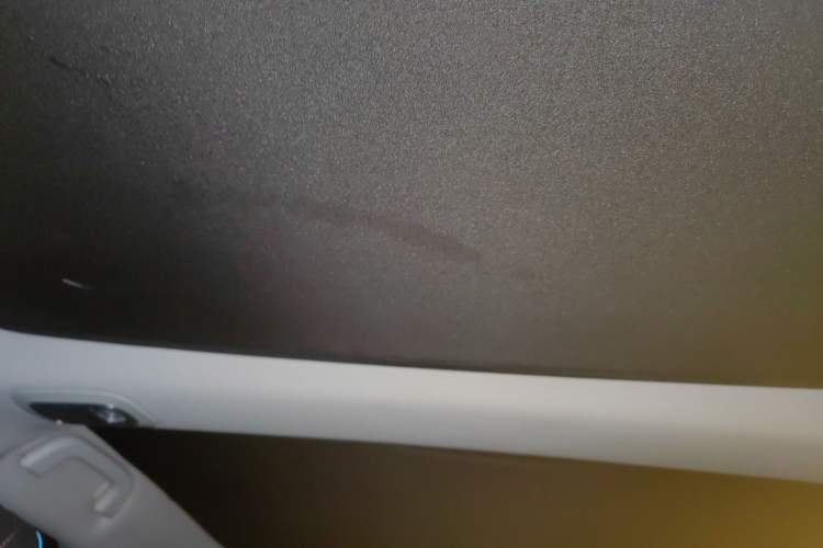 Used XPeng P7 2020 Rear-Drive Long-Range Smart Drive Version Headliner